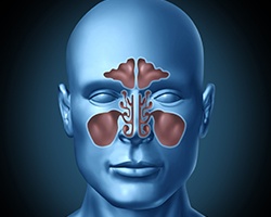 Animation of nasal passages